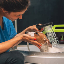 Load image into Gallery viewer, Sun Joe 24V-HOME-BDL Cordless Home Care Bundle | W/ Washer, Drain Auger, and Drill Driver
